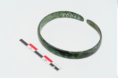 Foto von Bronzebandarmreif (NHMW-PRAE-024993)